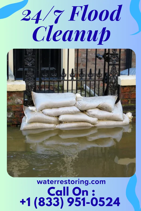 24/7 Flood Cleanup in Livingston, SC