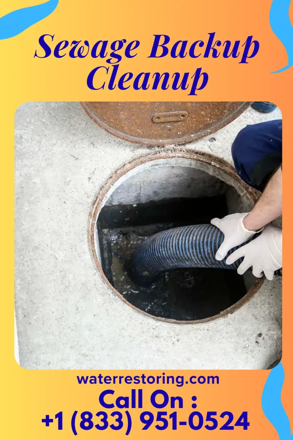 Sewage Backup Cleanup in Livingston, SC